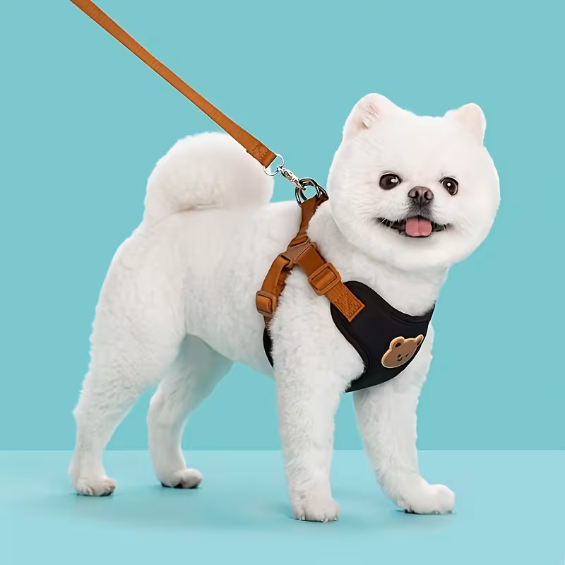 Cute Shop