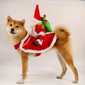 Alternative view of Vánoční kostým pro psy – Santa Claus