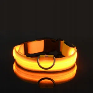 LED obojek pro psy – USB dobíjecí, svítící, nastavitelný