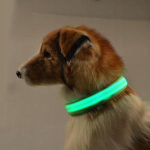 LED obojek pro psy – USB dobíjecí, svítící, nastavitelný