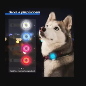 svitici privesek pro psy