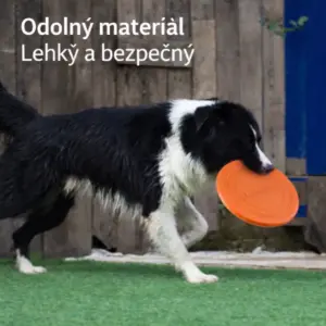 Létající talíř pro psy – odolný frisbee pro výcvik a hru se psem