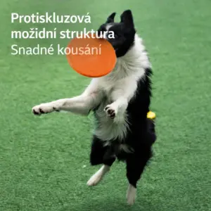 Létající talíř pro psy – odolný frisbee pro výcvik a hru se psem