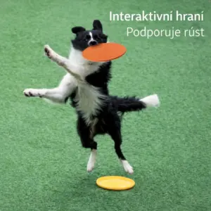 Alternative view of Létající talíř pro psy – odolný frisbee pro výcvik a hru se psem