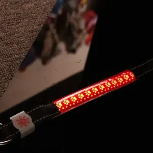 Venloro LED obojek pro psy – USB nabíjecí