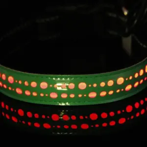 Venloro LED obojek pro psy – USB nabíjecí