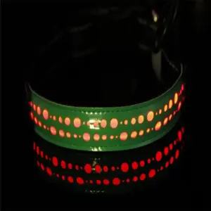 Venloro LED obojek pro psy – USB nabíjecí