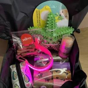 set pro psa – LED obojek a Dentální hračka