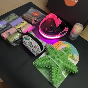 set pro psa – LED obojek a Dentální hračka