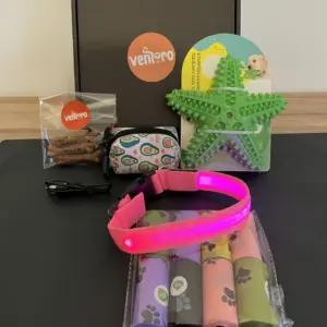 set pro psa – LED obojek a Dentální hračka