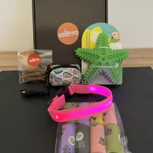 set pro psa – LED obojek a Dentální hračka