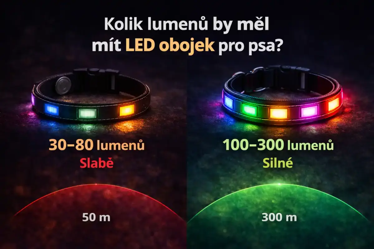 LED obojek pro psa