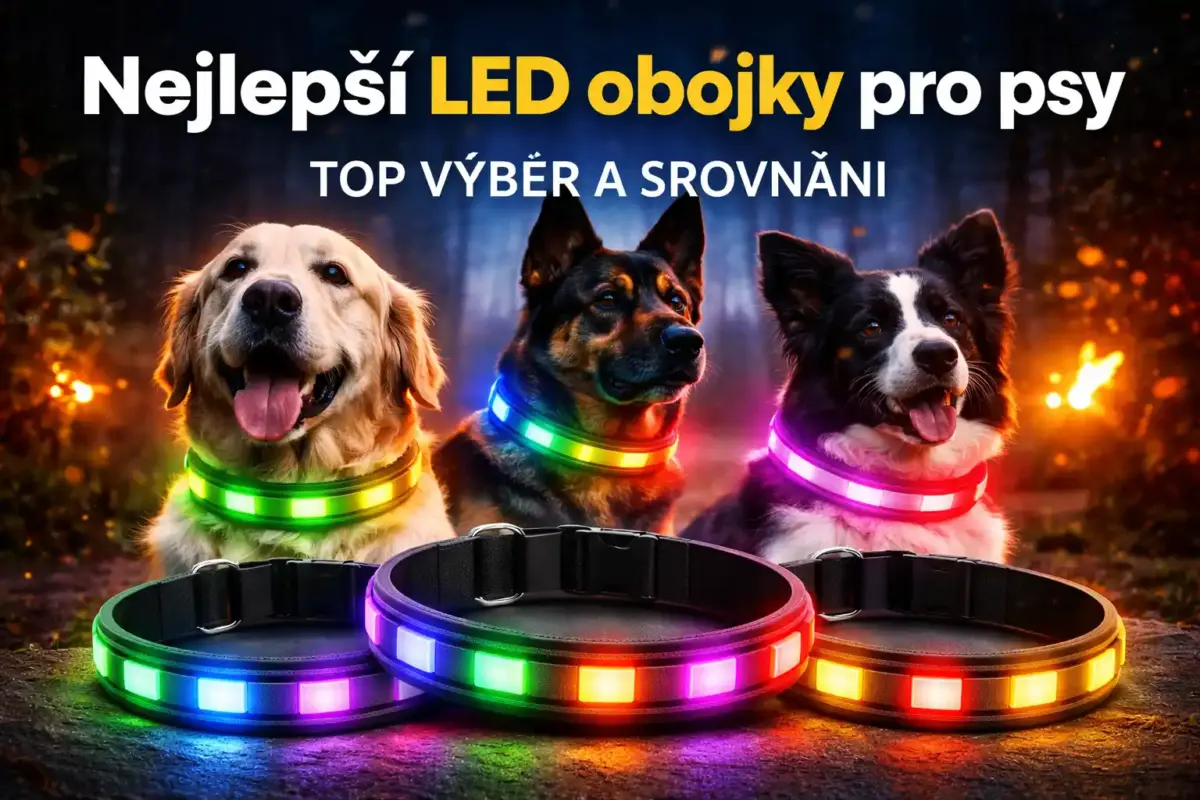 nejlepší LED obojek pro psa