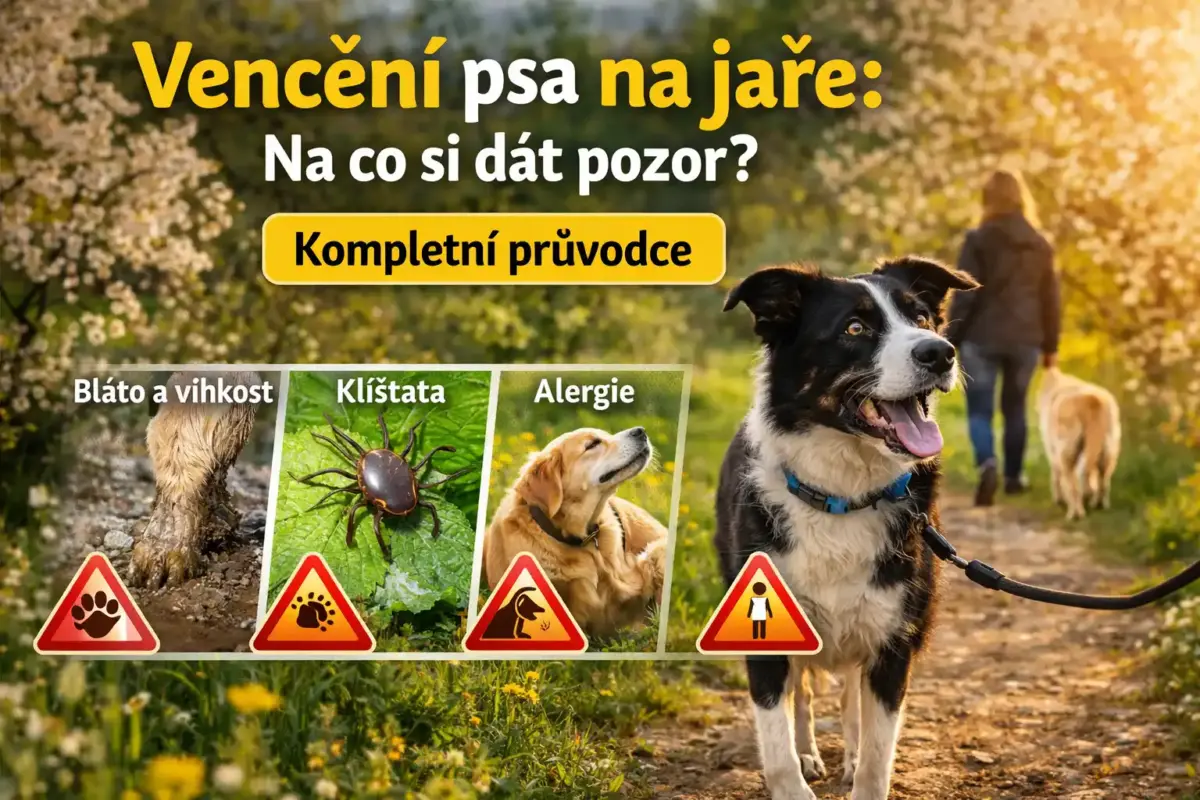Na co si dát pozor při venčení psa na jaře? Kompletní průvodce
